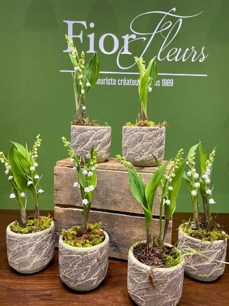 Composition de muguet pour le 1er Mai chez votre artisan fleuriste Fior Fleurs