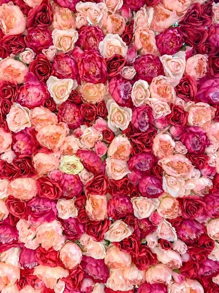 Explorons les variétés de roses et leur signification avec votre artisan fleuriste à Saint André de la Roche