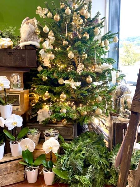 C'est déjà Noël chez Fior Fleurs