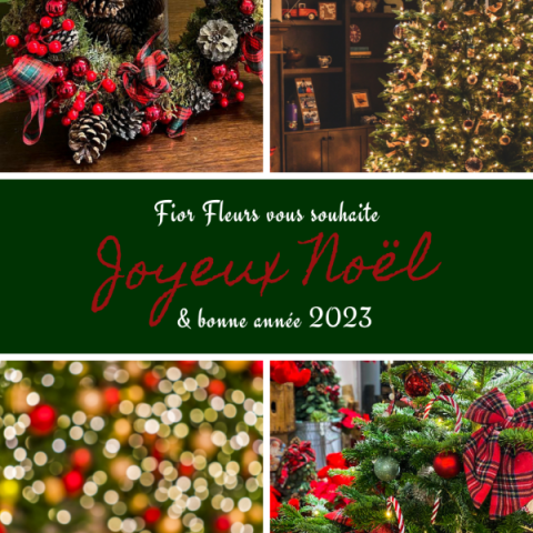 Votre fleuriste Fior Fleurs vous souhaite joyeux Noël et une belle année 2023