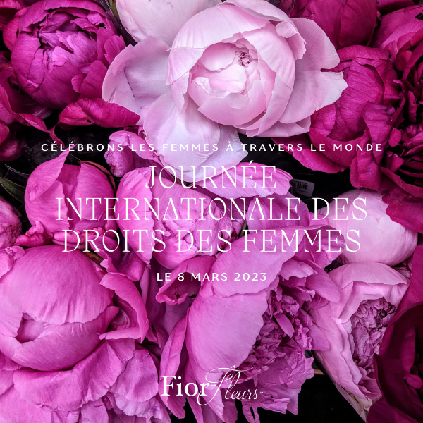 Le 8 mars, nous célébrons la Journée internationale des droits des femmes