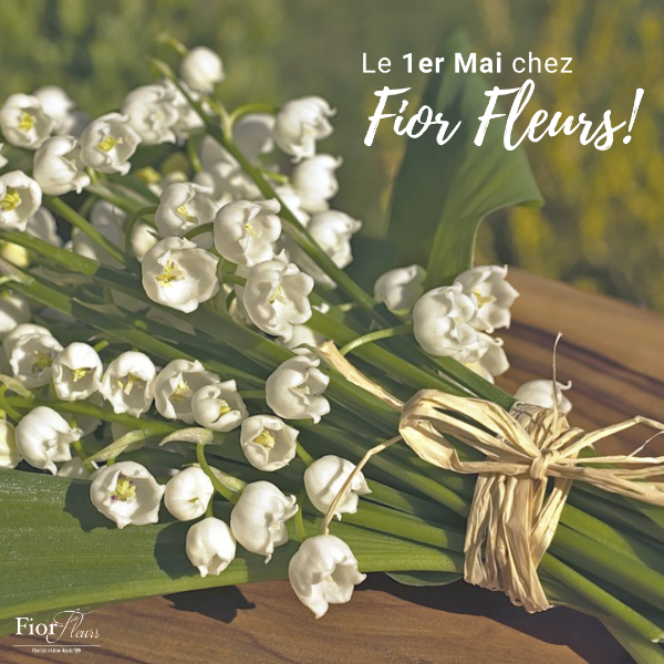 Le 1er Mai c'est la fête du muguet, rendez vous chez votre fleuriste Fior Fleurs