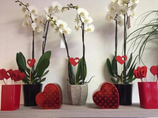 La saint Valentin approche à grand pas 