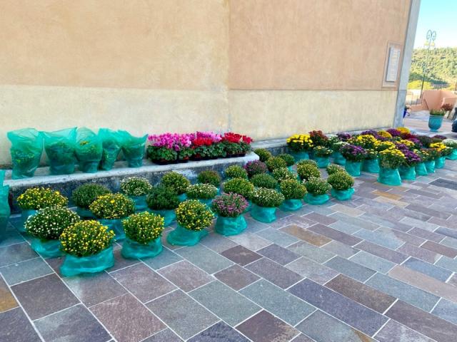 La Toussaint 2020 avec Fior Fleurs