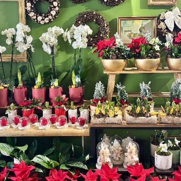 Fior Fleurs célèbre la magie des fêtes : découvrez nos inspirations pour un Noël magnifique !