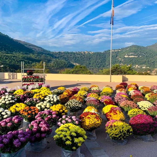 La Toussaint 2023 avec votre artisan fleuriste Fior Fleurs à Tourrette Levens
