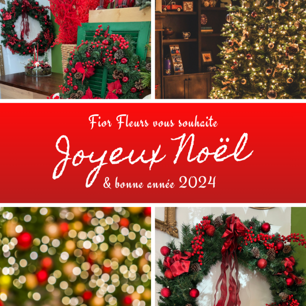 Votre fleuriste Fior Fleurs vous souhaite joyeux Noël et une belle année 2024
