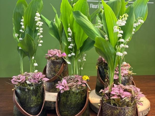 Composition de muguet pour le 1er Mai chez votre artisan fleuriste Fior Fleurs