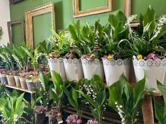 Composition de muguet pour le 1er Mai chez votre artisan fleuriste Fior Fleurs