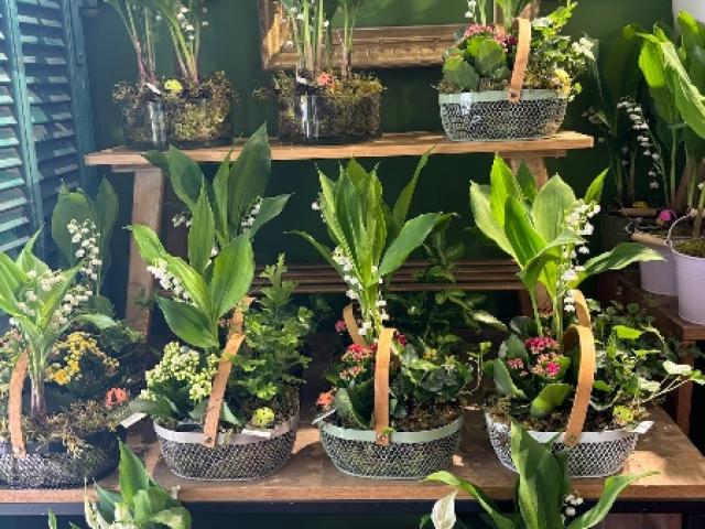 Composition de muguet pour le 1er Mai chez votre artisan fleuriste Fior Fleurs