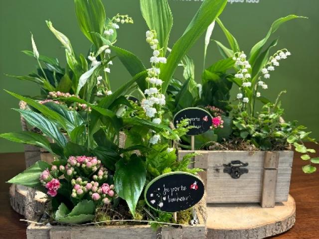 Composition de muguet pour le 1er Mai chez votre artisan fleuriste Fior Fleurs