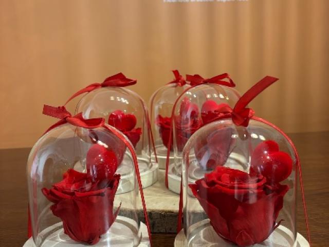 Cloches de rose rouge