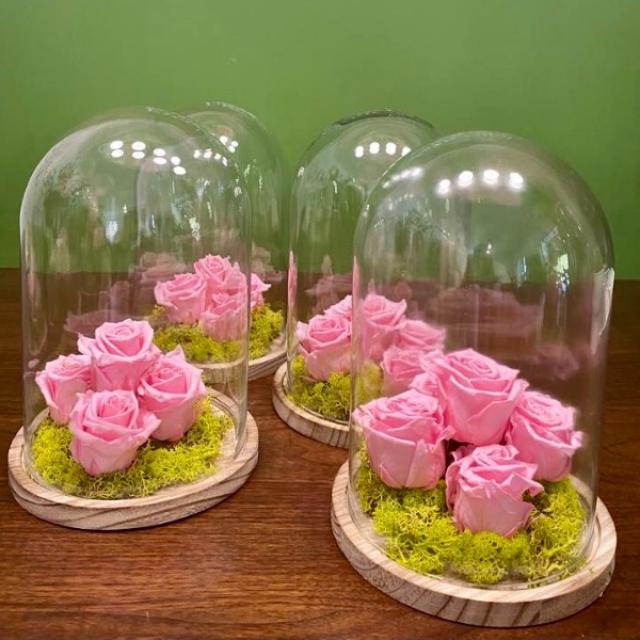 Cloches de roses