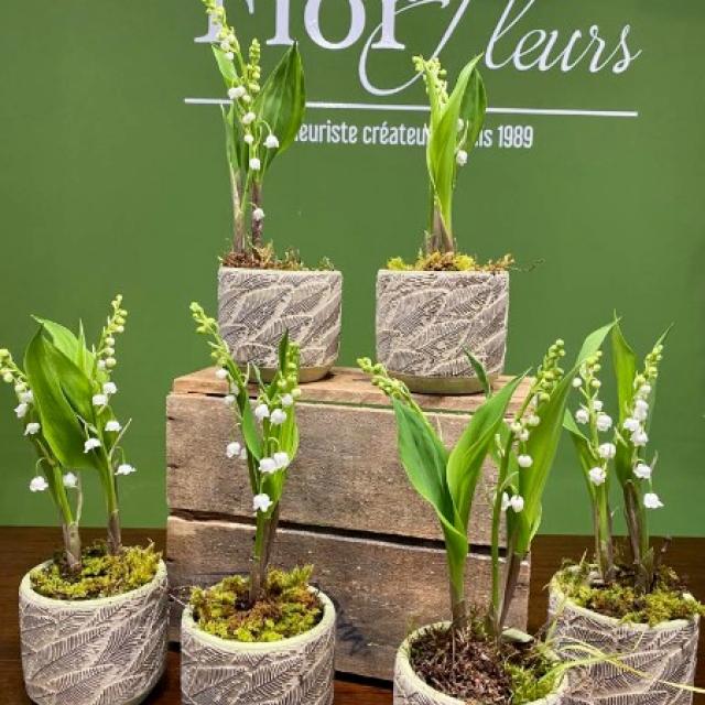 Composition de muguet pour le 1er Mai chez votre artisan fleuriste Fior Fleurs