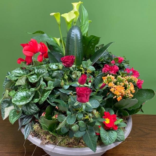 Coupe de plantes (composition de deuil)