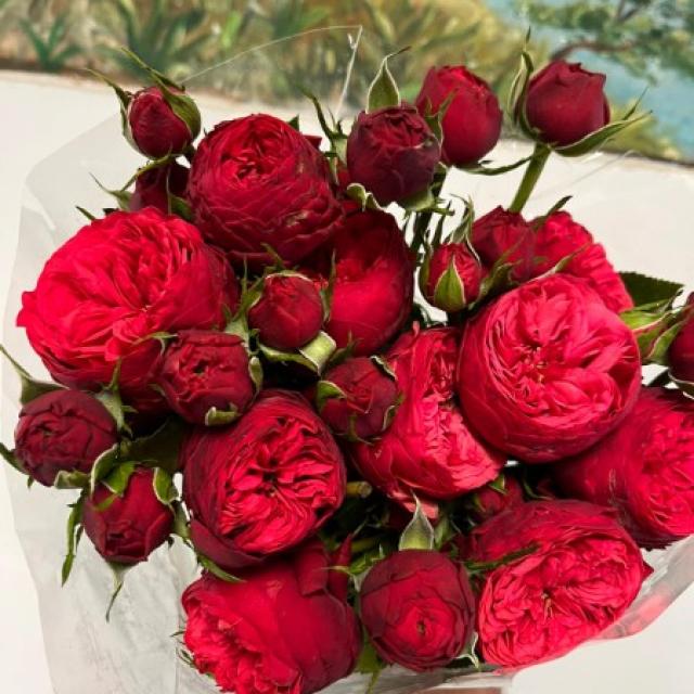 Bouquet de roses rouges pour la Saint-Valentin