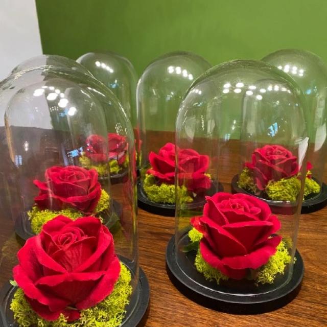 Cloches de rose rouge